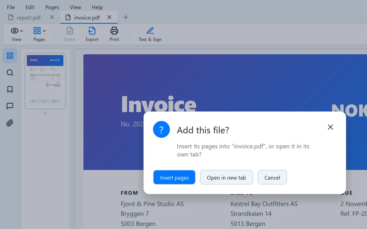 Dropping a file asks whether to insert its pages or open it in a new tab